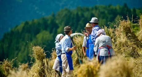 TERENTO - Il 15 agosto si celebra la Festa del Raccolto