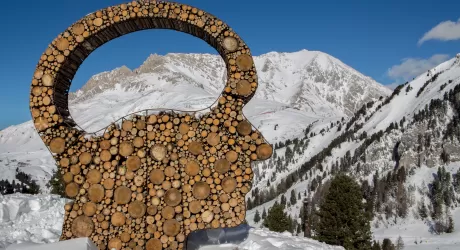 Respirart: l'arte in pista da Pampeago al centro di Bolzano
