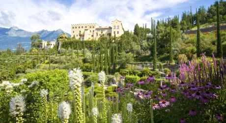 GALLO ROSSO: 600 agriturismi proposti nel nuovo catalogo