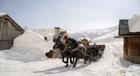 TRENTINO - Tutte le attività oltre lo sci, fotogallery