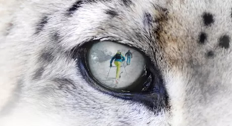 SPIAZZI DI GROMO - Il 29 febbraio la tappa italiana dello Snow Leopard Day