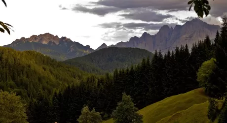 FRIULI - Un'estate immersi nella natura per rilassarsi e rigenerarsi