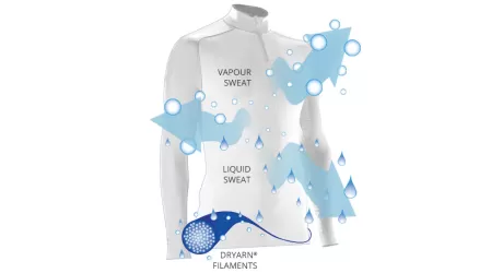 Dryarn compie 20 anni