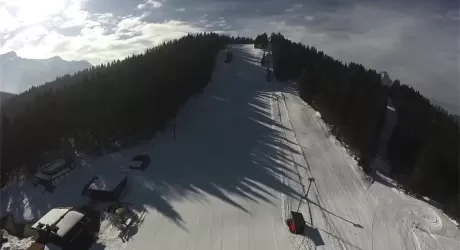 FORCELLA AURINE - amici in società per il rilancio 