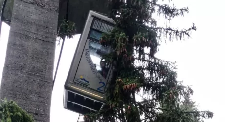 RIO PUSTERIA - Albero contro la funivia, tutti illesi