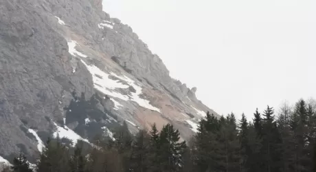 VAL GARDENA - Frana sul Dantercepies, divelto pilone cabinovia