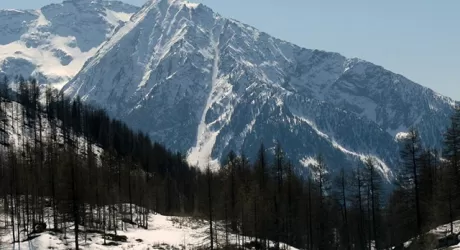 Vista d insieme Canale e Cima Piure