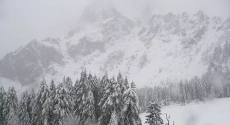 METEO - La neve torna sulla Alpi nel weekend