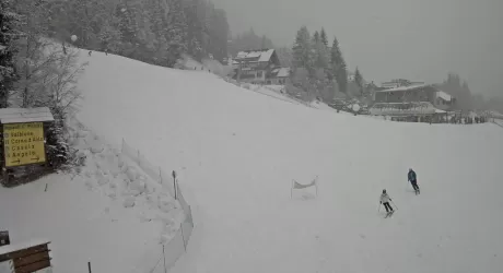 METEO - Nevicate sulle Alpi da quota 900, 1000 metri 