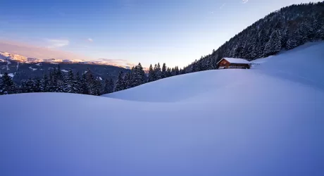 ANDALO - Sabato 6 febbraio si scia all'alba