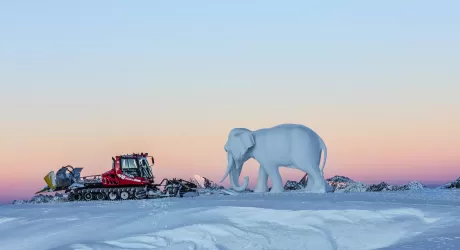 SOELDEN - Arriva Hannibal con i suoi elefanti e si scia fino all'8 maggio
