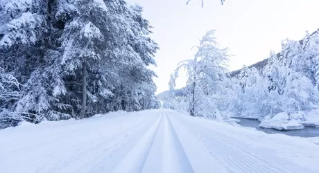 VAL CASIES - Percorribili i primi km della pista, iscrizioni aperte per la Gran Fondo