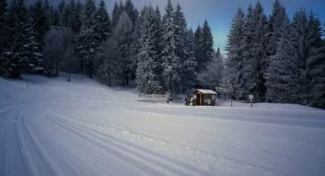 BERGAMASCA - Piccolo è bello: si scia anche a Oltre il Colle, Zambla e Selvino