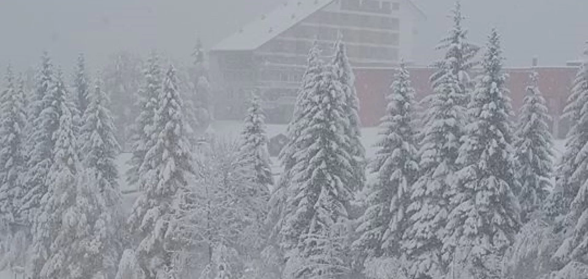 Artesina nevicata novembre 2017