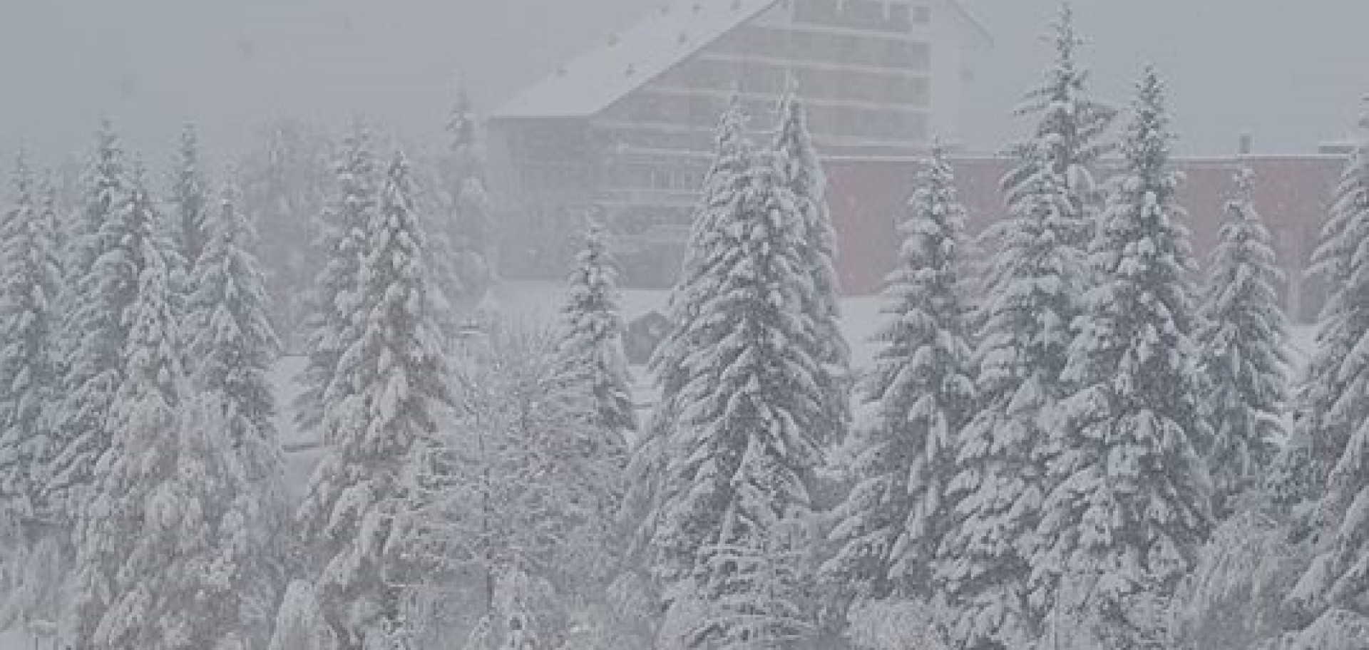 Artesina nevicata novembre 2017