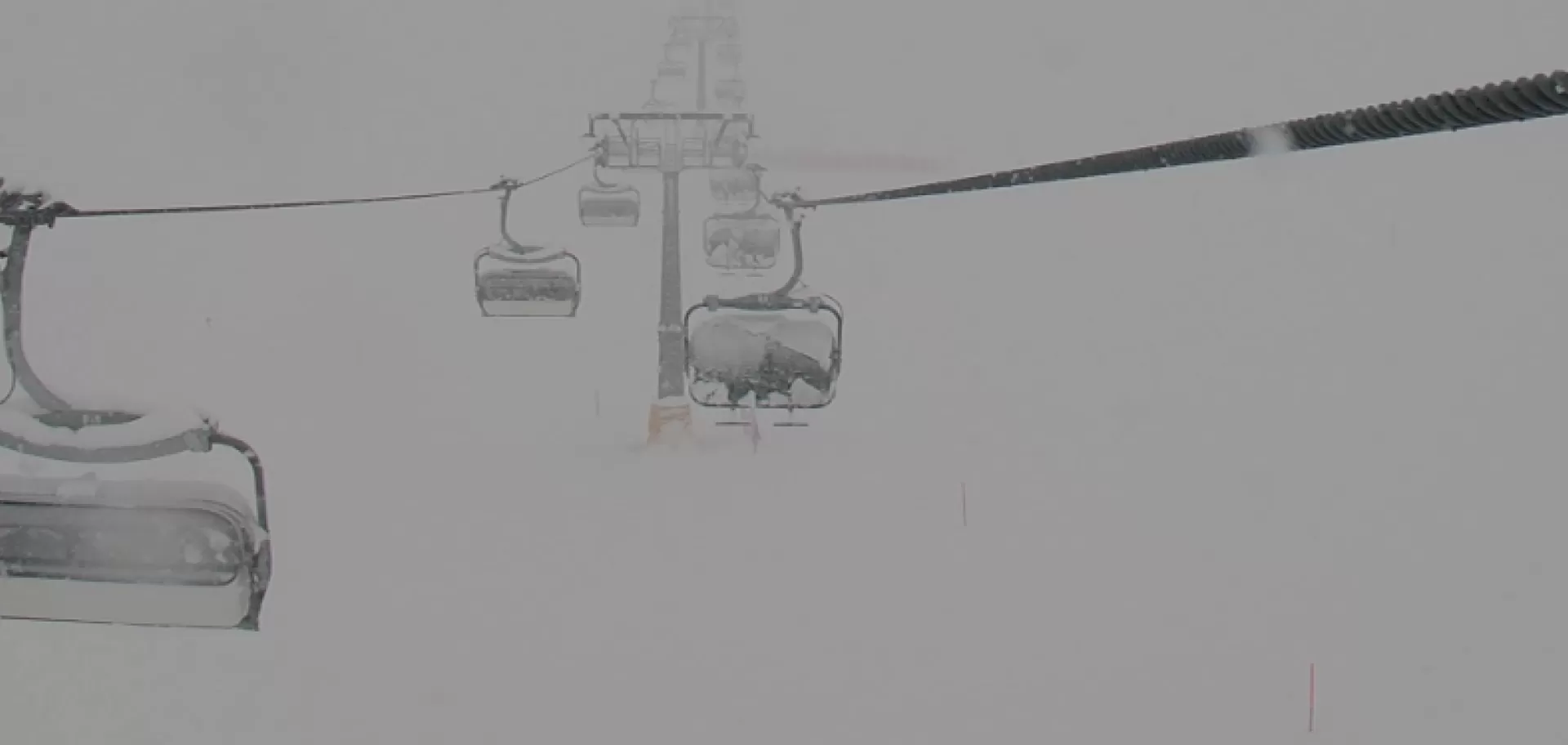 Webcam neve Tonale