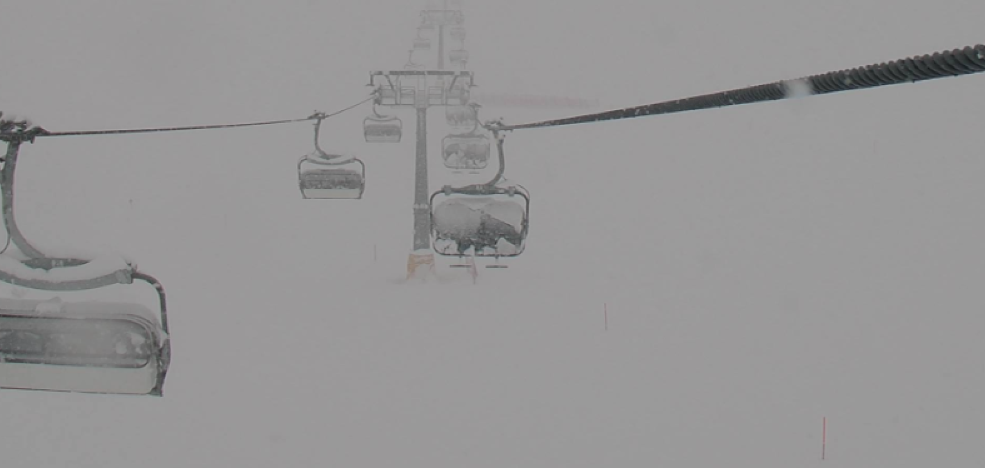 Webcam neve Tonale
