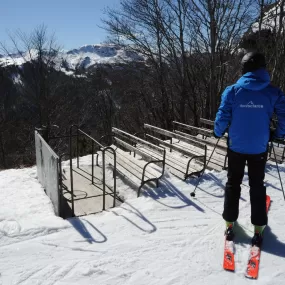 Immagine Skiwriter