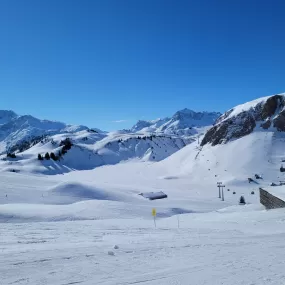 Immagine Skiwriter