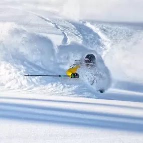Immagine Skiwriter