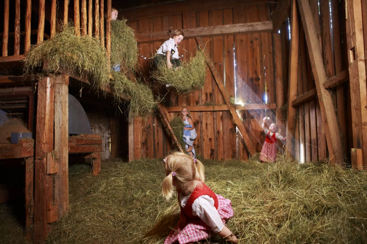 fattoria per bambini