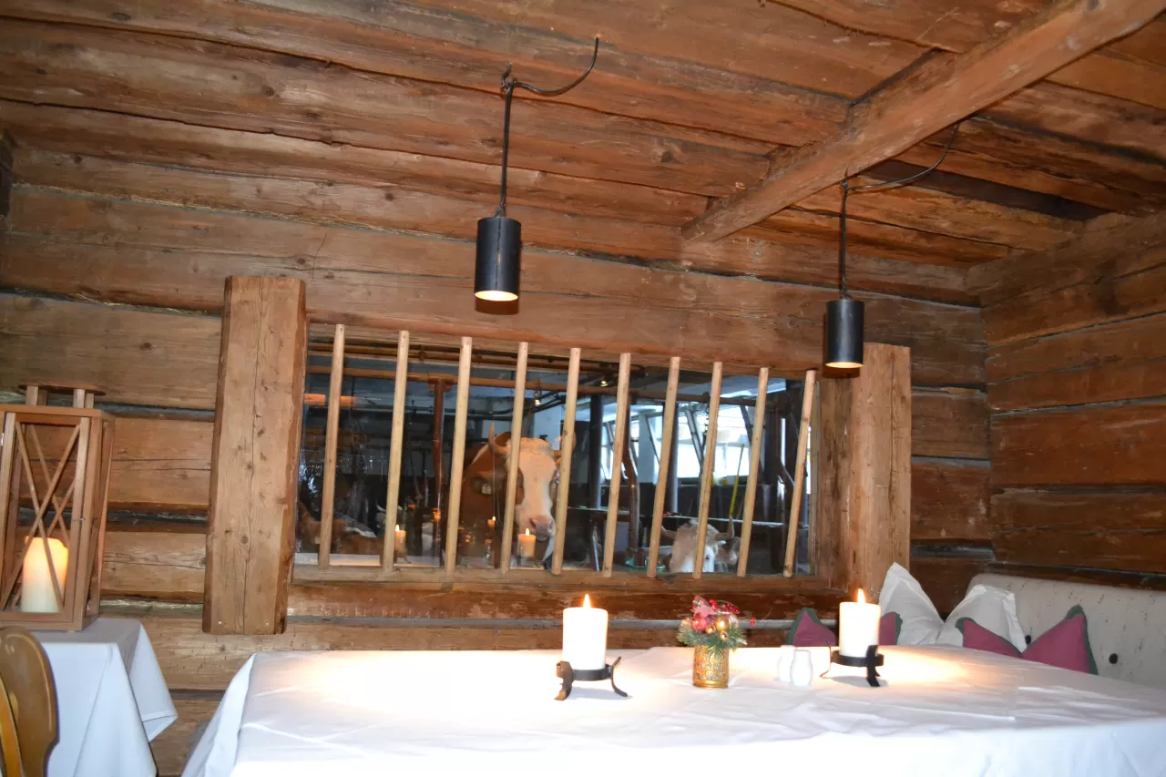 una fetta di torta con le mucche