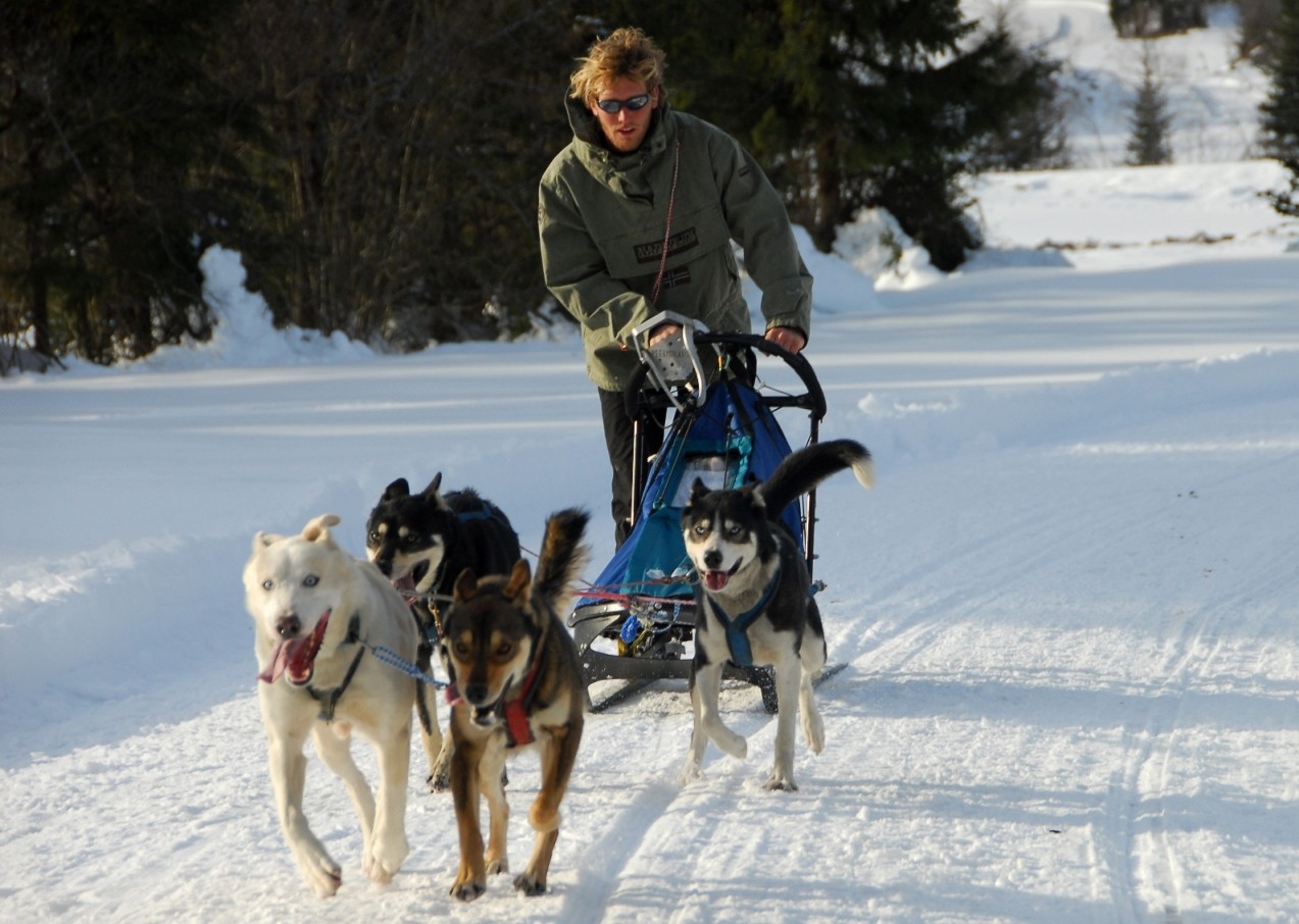 Maurizio Valdemarin - Seddog Fusine