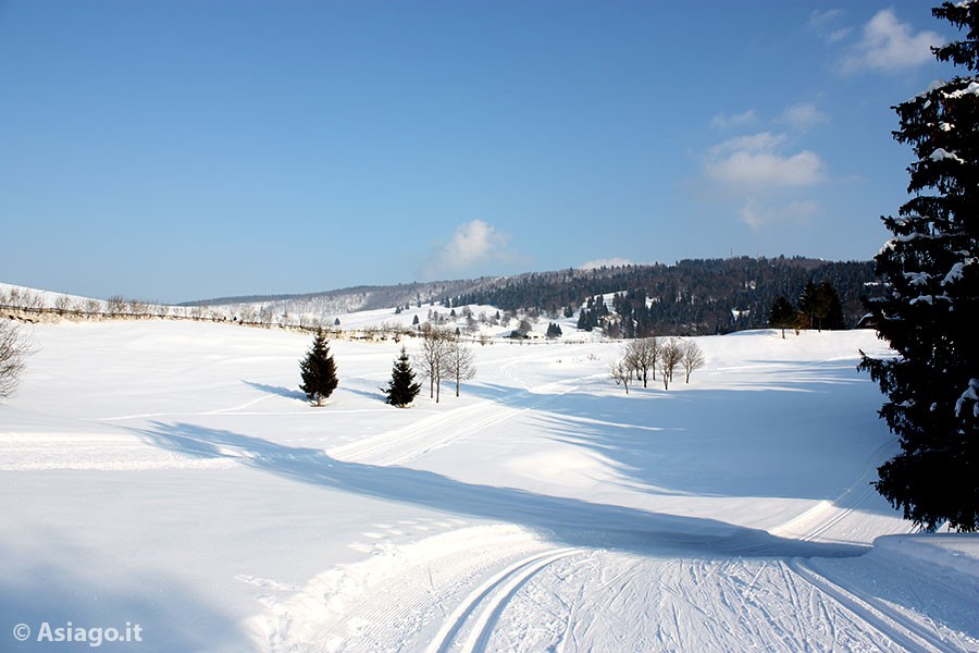 Fondo all'Altopiano di Asiago