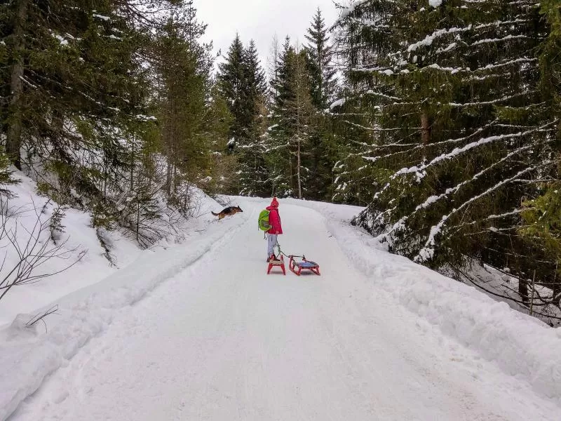 Pista slittino Malga di Tesido Pista slittino Malga di Tesido