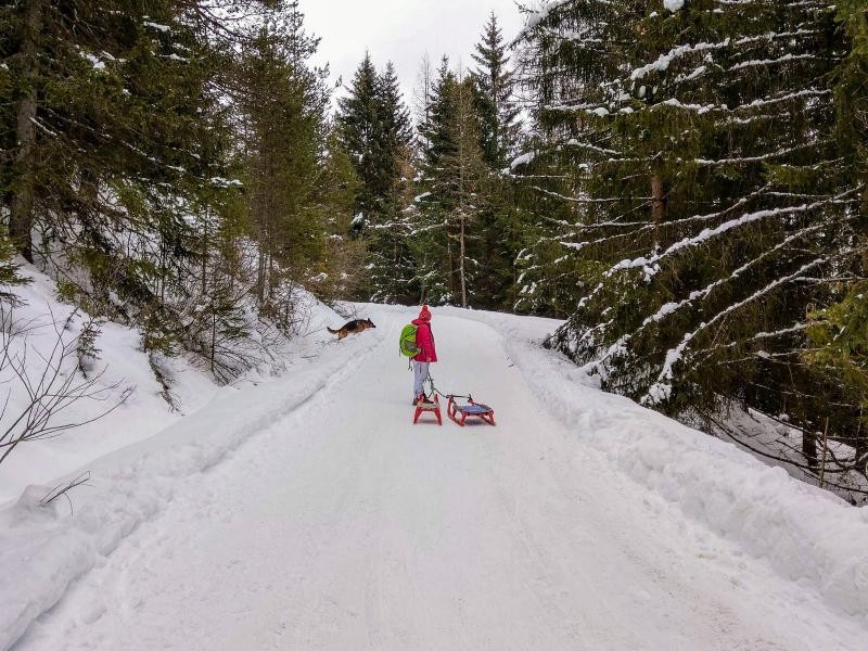Pista slittino Malga di Tesido Pista slittino Malga di Tesido