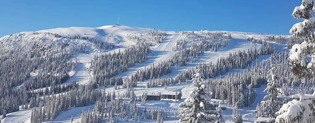 Facebook Kvitfjell