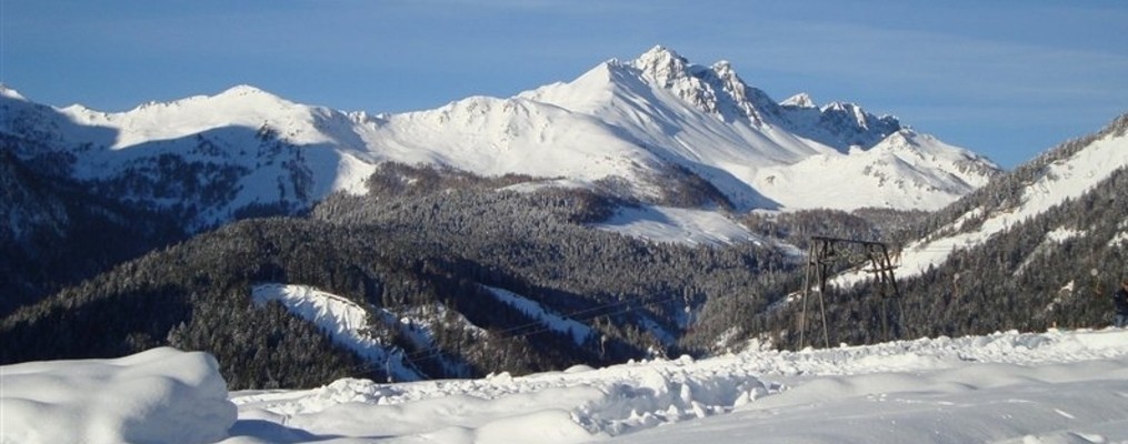 Sauris