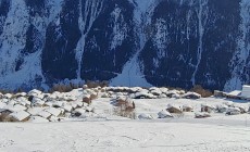 Ski safari Vallese – parte II: Lötschental