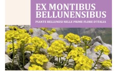 Nuovo studio del Parco Dolomiti Bellunesi sulla biodiversità botanica, fra storia e attualità