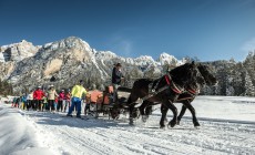 VIDEO - Alta Badia, cavalli imbizzarriti all'Armentarola