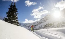 Bormio fat bike