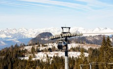 ALTO ADIGE - Sistemato l'80% dei boschi distrutti da Vaia