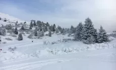 Passo del Tonale