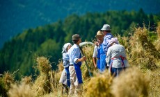 TERENTO - Il 15 agosto si celebra la Festa del Raccolto