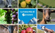Nasce “La FattorMia di Snowit” un progetto di sostenibilità e di sostegno del territorio rurale