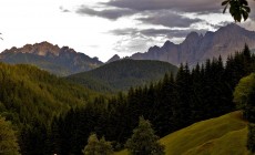 FRIULI - Un'estate immersi nella natura per rilassarsi e rigenerarsi