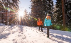 CARINZIA - Tamponi gratuiti a Villach prima del rientro dalle vacanze