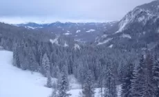 NEVE - Finalmente è arrivato l'inverno sulle Alpi