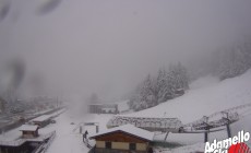 NEVE SULLE ALPI guarda le webcam