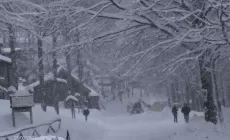 METEO NEVE - Nord sotto attacco, nevicate a quote basse