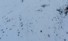 SOELDEN - Dramma sugli sci: due ragazzi dell'Us Ski Team morti sotto una valanga