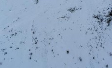 SOELDEN - Dramma sugli sci: due ragazzi dell'Us Ski Team morti sotto una valanga