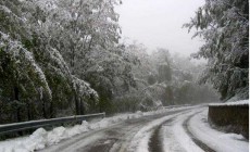 METEO NEVE - Allerta neve in Marche e Calabria 13/12