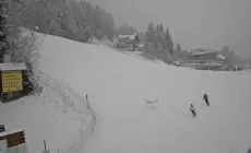 METEO - Nevicate sulle Alpi da quota 900, 1000 metri