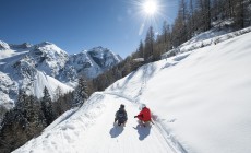 STUBAI - Non solo sci: sul monte Elfer tutti in slittino